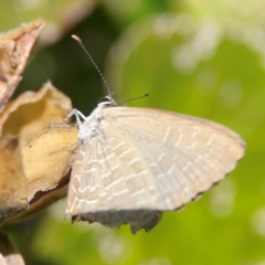 Unidentified at suppressed - 15 Jun 2024