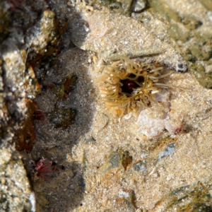 Unverified at suppressed - suppressed