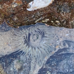 Unverified at suppressed - suppressed