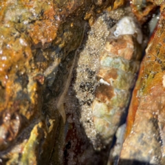 Unverified at suppressed - suppressed