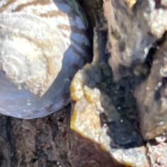 Unverified at suppressed - suppressed