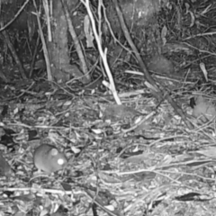 Unverified at suppressed - suppressed