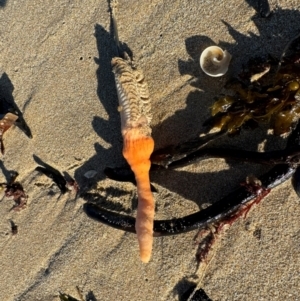 Unverified at suppressed - suppressed