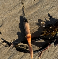 Unverified at suppressed - suppressed