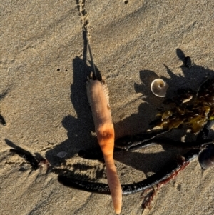 Unverified at suppressed - suppressed