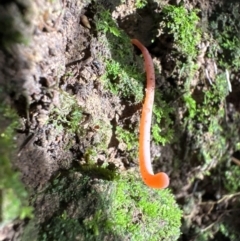 Unverified at suppressed - suppressed