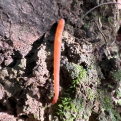 Unverified at suppressed - suppressed