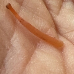 Unverified at suppressed - suppressed