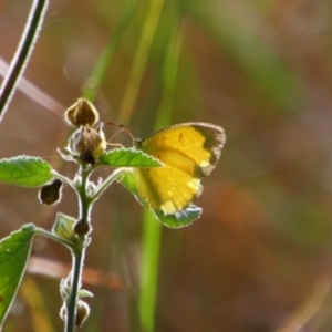 Unidentified at suppressed - 28 Jun 2024