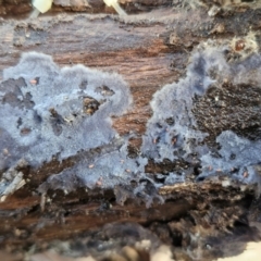 Unverified at suppressed - suppressed