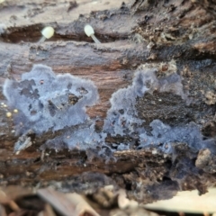 Unverified at suppressed - suppressed