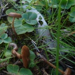 Unverified at suppressed - suppressed