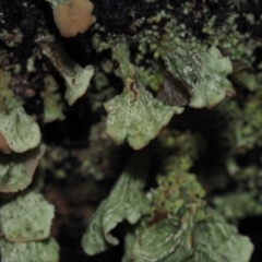 Unverified at suppressed - suppressed