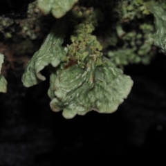 Unverified at suppressed - suppressed