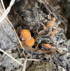 Unverified at suppressed - suppressed