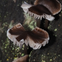 Unverified at suppressed - suppressed