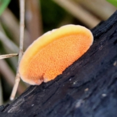 Unverified at suppressed - suppressed