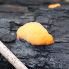 Unverified at suppressed - suppressed