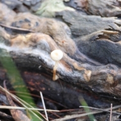 Unverified at suppressed - suppressed