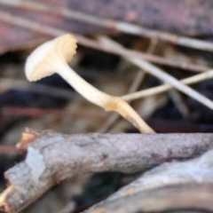 Unverified at suppressed - suppressed