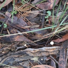 Unverified at suppressed - suppressed