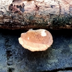 Unverified at suppressed - suppressed