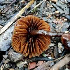 Unverified at suppressed - suppressed