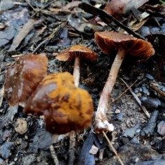 Unverified at suppressed - suppressed