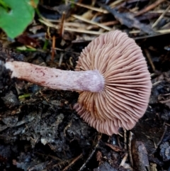 Unverified at suppressed - suppressed