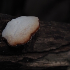 Unverified at suppressed - suppressed