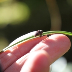 Unidentified at suppressed - 14 Jul 2024