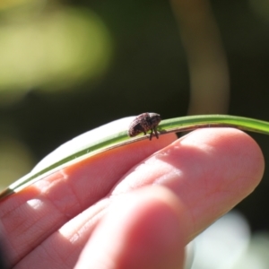 Unidentified at suppressed - 14 Jul 2024