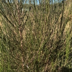 Unverified at suppressed - suppressed