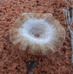 Unverified at suppressed - suppressed