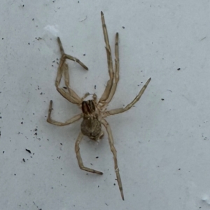 Unverified at suppressed - suppressed