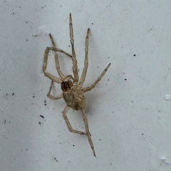 Unverified at suppressed - suppressed