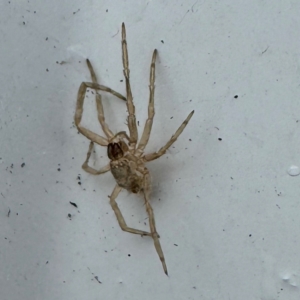 Unverified at suppressed - suppressed