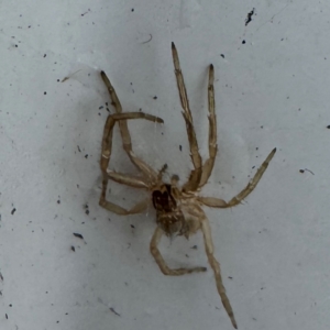 Unverified at suppressed - suppressed