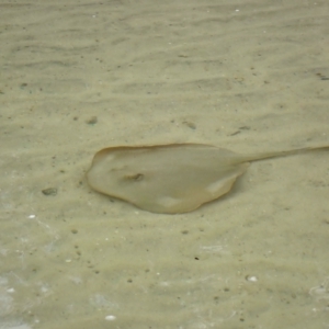 Unverified at suppressed - suppressed