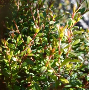 Unverified at suppressed - suppressed