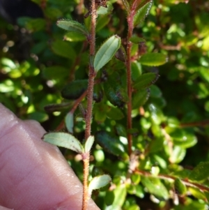 Unverified at suppressed - suppressed