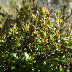 Unverified at suppressed - suppressed