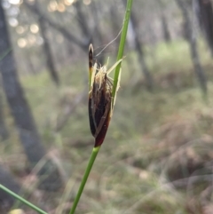 Unidentified at suppressed - 26 Jul 2024