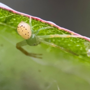 Unidentified at suppressed - 27 Jul 2024