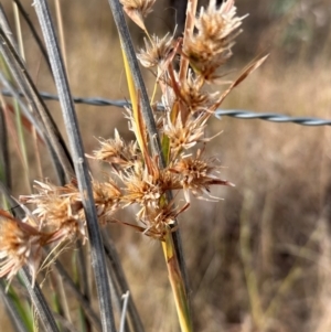 Unidentified at suppressed - 26 Jul 2024