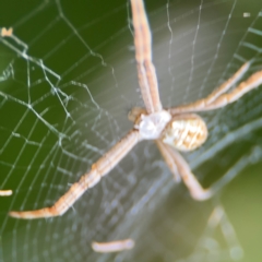 Unidentified at suppressed - 29 Jul 2024