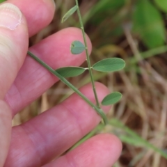 Unidentified at suppressed - 30 Jul 2024