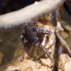 Unverified at suppressed - suppressed