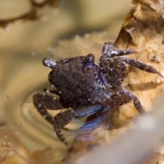 Unverified at suppressed - suppressed