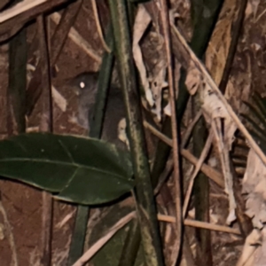 Unverified at suppressed - suppressed